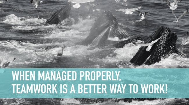 Screen Shot 2016-06-20 at 11.41.05 AM